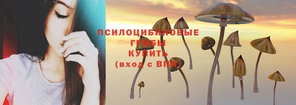 герыч Алексин
